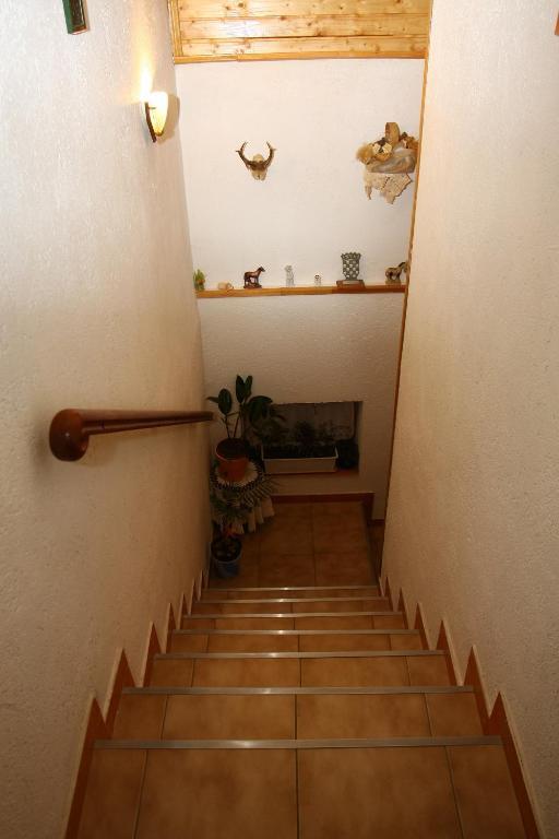 Apartments Nena Smoljanac Εξωτερικό φωτογραφία